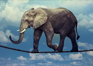 reunificacion deudas